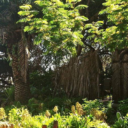 Studio Mazo The Glamping Lodero 外观 照片