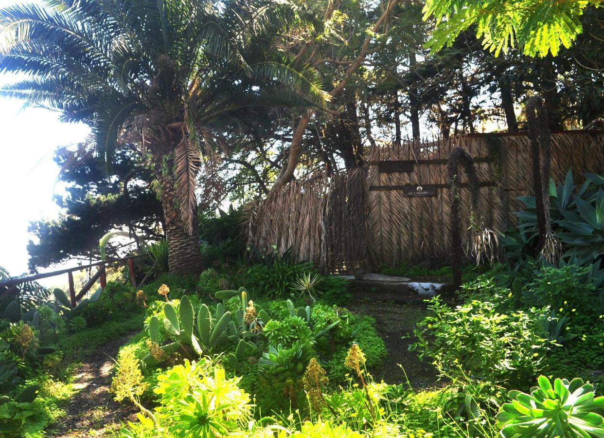 Studio Mazo The Glamping Lodero 外观 照片